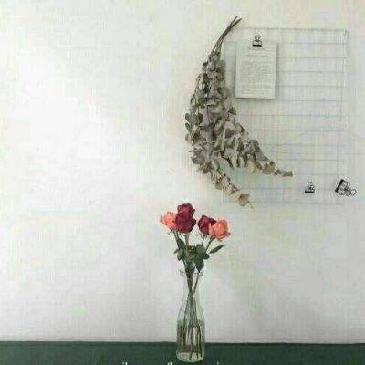 圆月谜案手游下载