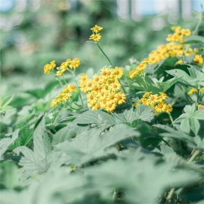 火柴人对决2激斗英雄手机版下载